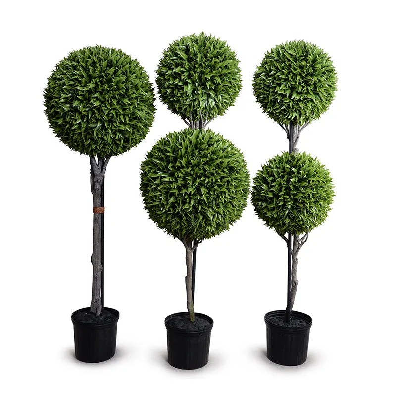 Broadleaf Podocarpus Ball Topiary 70"H